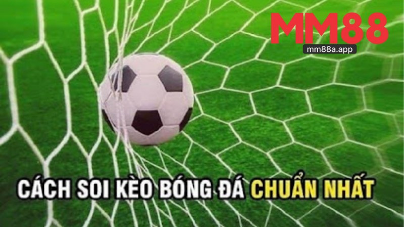 Sảnh BTi Sport
